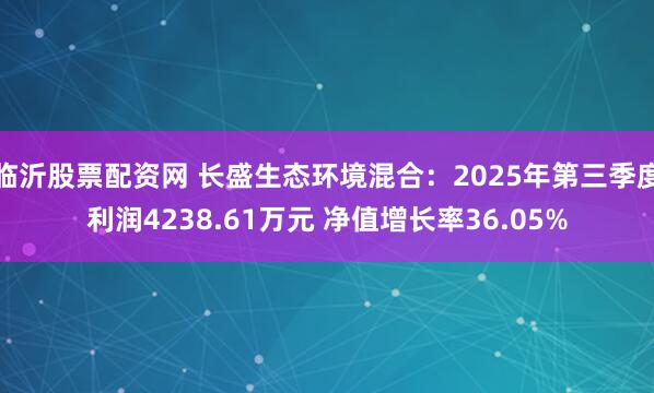 临沂股票配资网 长盛生态环境混合：2025年第三季度利润4238.61万元 净值增长率36.05%