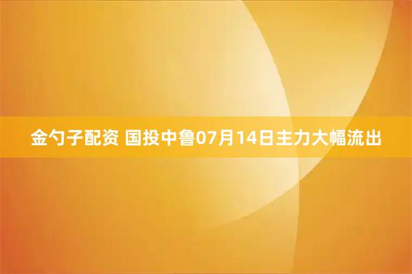 金勺子配资 国投中鲁07月14日主力大幅流出