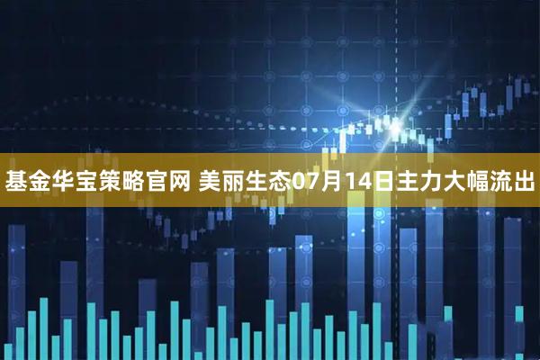 基金华宝策略官网 美丽生态07月14日主力大幅流出