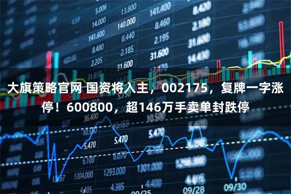 大旗策略官网 国资将入主，002175，复牌一字涨停！600800，超146万手卖单封跌停