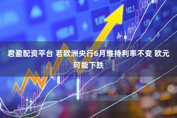 君盈配资平台 若欧洲央行6月维持利率不变 欧元可能下跌